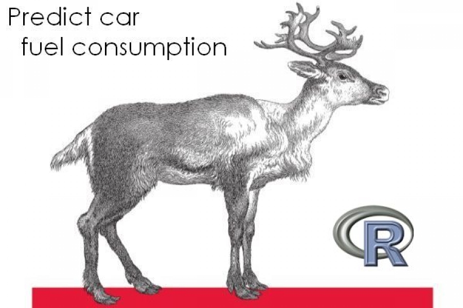 Predict Car Fuel with R Predict Car Fuel with R